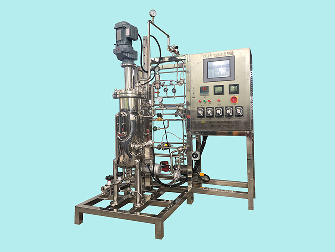 FZ-E型30L发酵罐